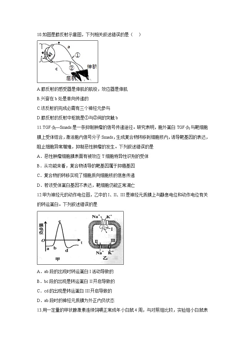 【生物】安徽省凤阳县博文国际学校2018-2019学年高二上学期期考模底试题第3页