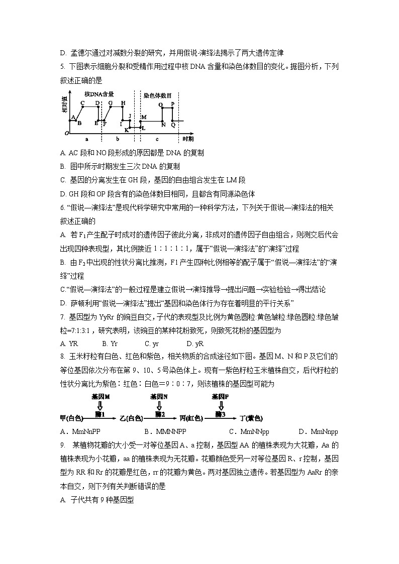 【生物】安徽省六安市舒城中学2018-2019学年高二上学期第四次统考试题02