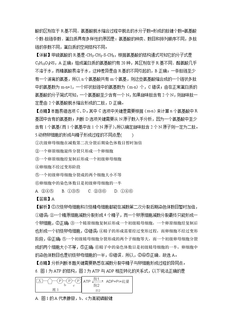 【生物】安徽省定远重点中学2018-2019学年高二上学期开学考试试题（解析版）02