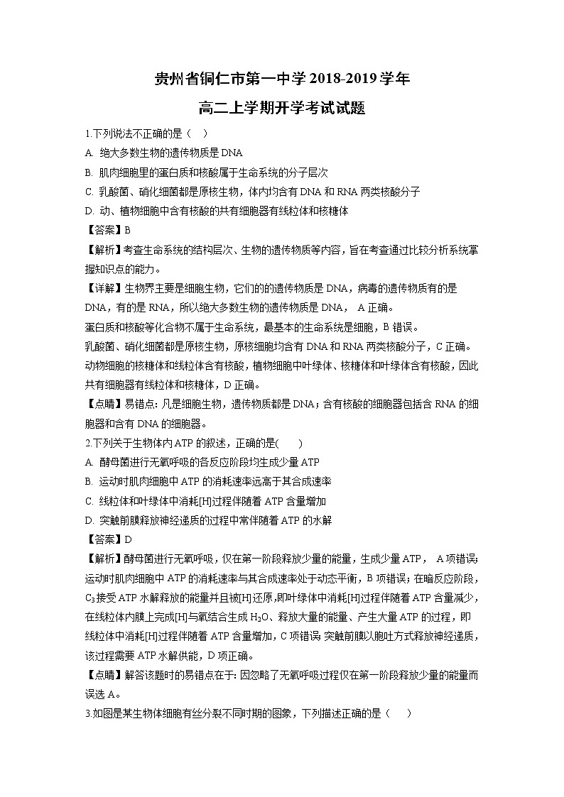 【生物】贵州省铜仁市第一中学2018-2019学年高二上学期开学考试试题（解析版）01