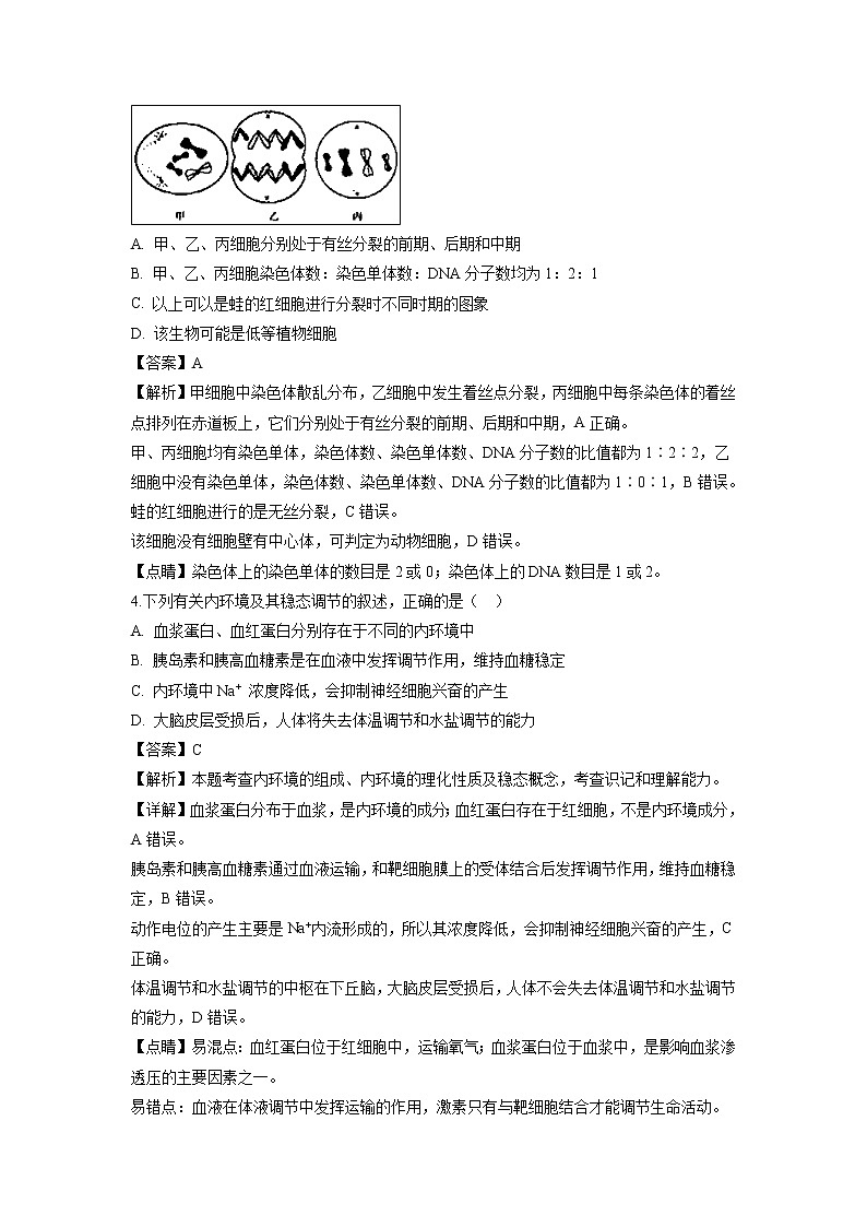 【生物】贵州省铜仁市第一中学2018-2019学年高二上学期开学考试试题（解析版）02