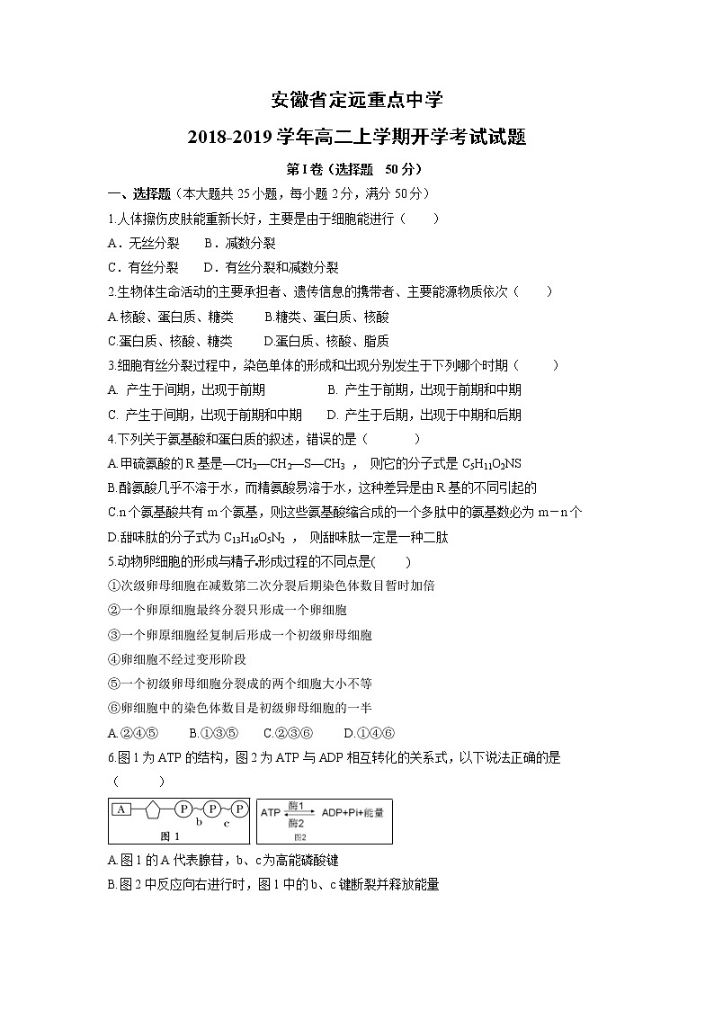 【生物】安徽省定远重点中学2018-2019学年高二上学期开学考试试题第1页