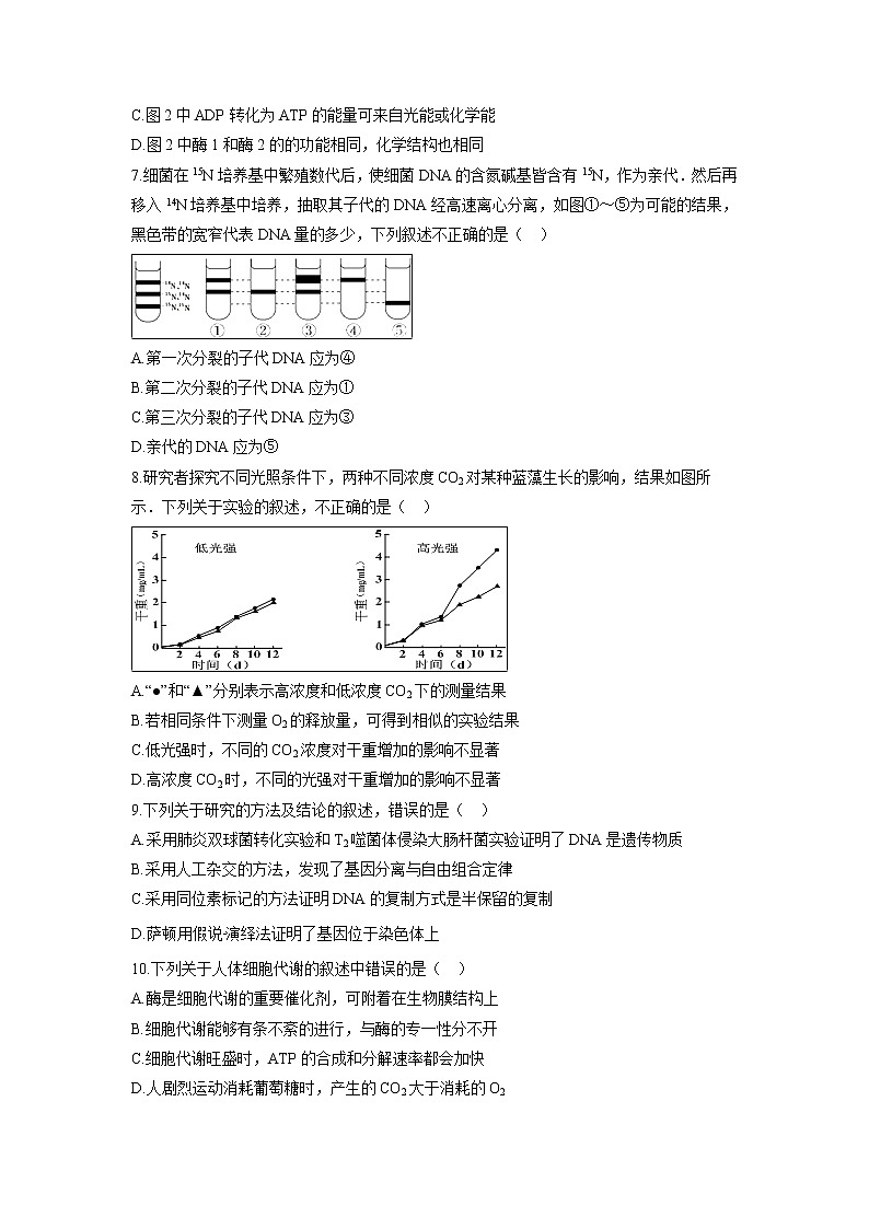 【生物】安徽省定远重点中学2018-2019学年高二上学期开学考试试题第2页