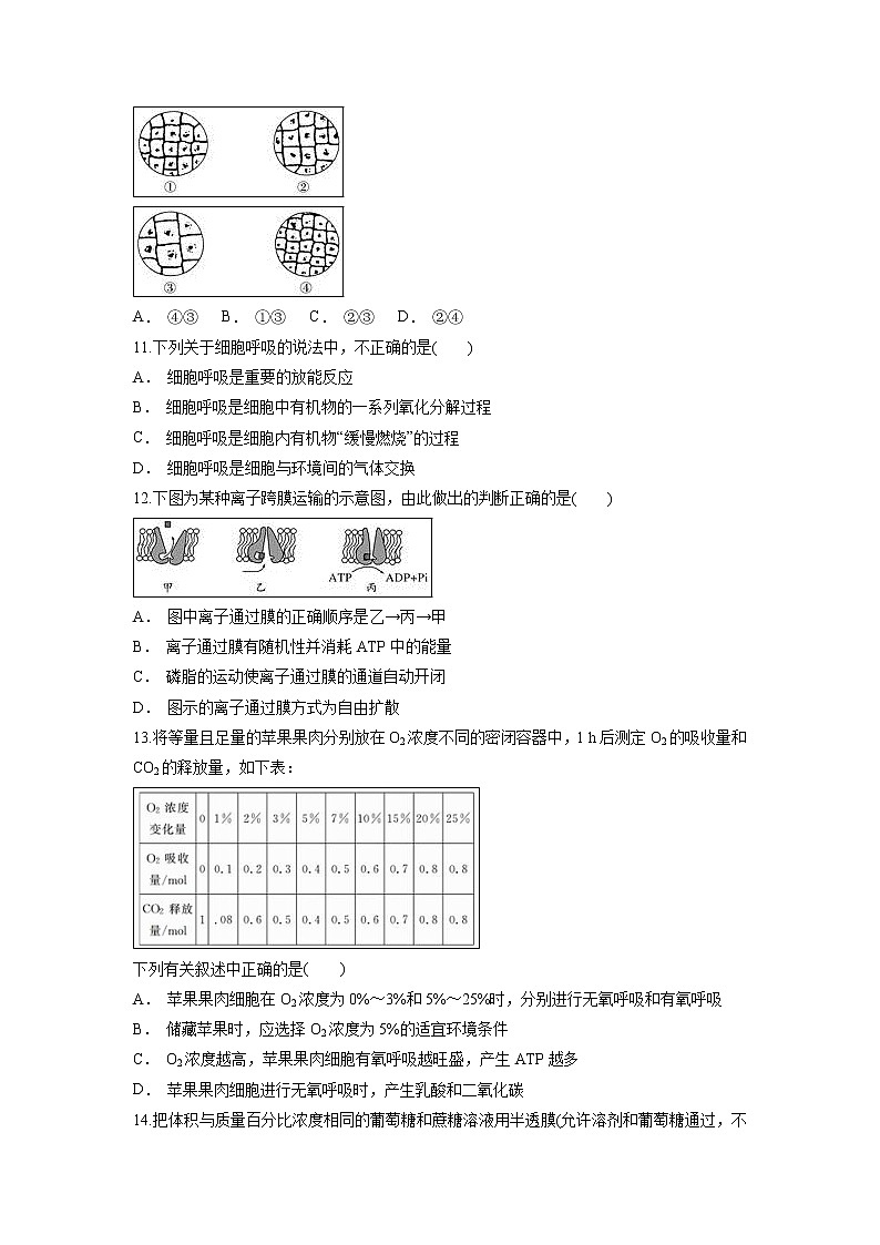 【生物】云南省元江一中2018-2019学年高二入学检测试题03