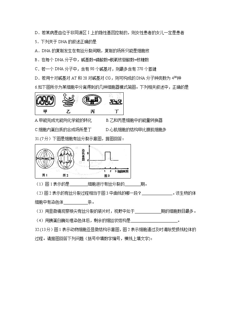 【生物】四川省棠湖中学2018-2019学年高二上学期开学考试理综试题第2页