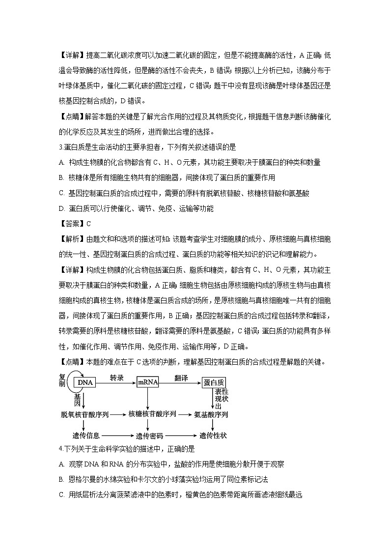 【生物】安徽省屯溪第一中学2018-2019学年高二上学期开学考试试题（解析版）02