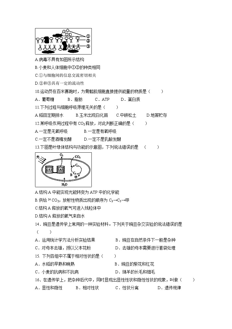 【生物】福建省晋江市季延中学2018-2019学年高二开学考试试题02