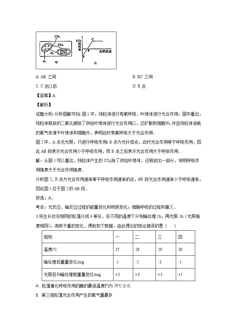【生物】安徽省合肥市第六中学2018-2019学年高二下学期开学考试试题 (解析版)02