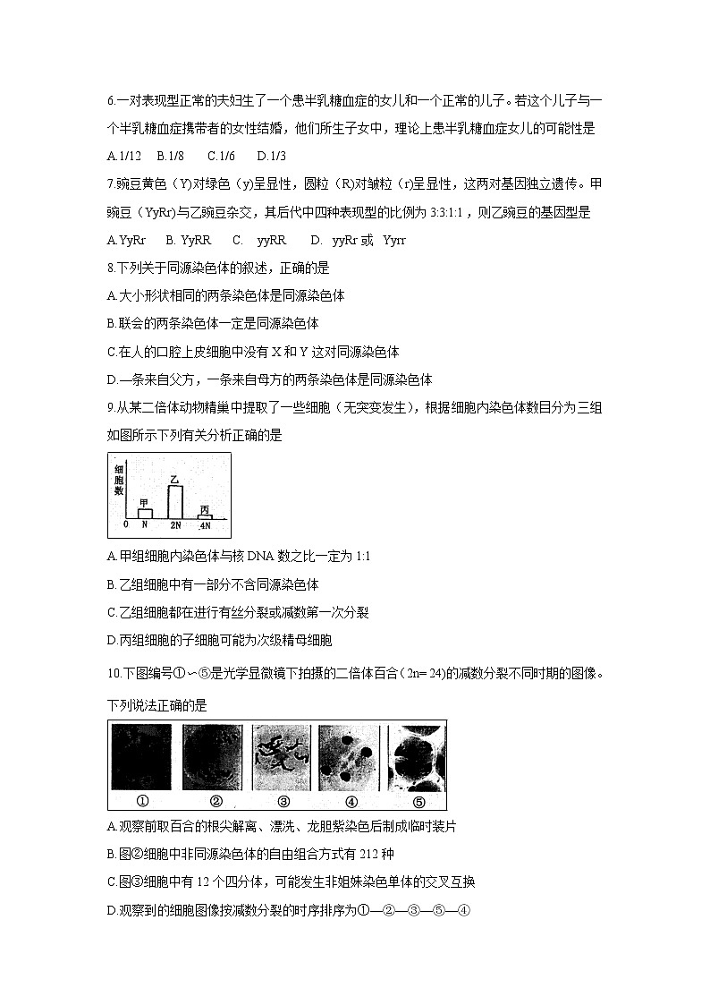 【生物】河南省洛阳市2019-2020学年高二上学期期中考试02