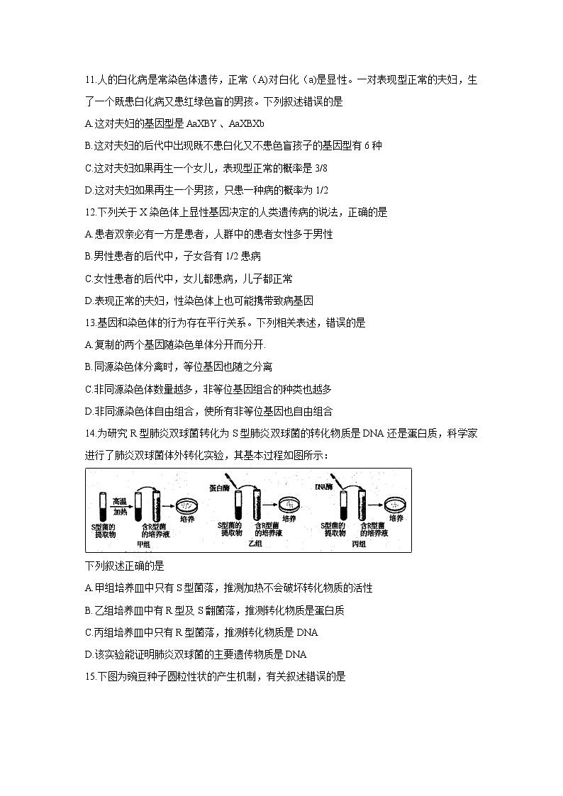 【生物】河南省洛阳市2019-2020学年高二上学期期中考试03