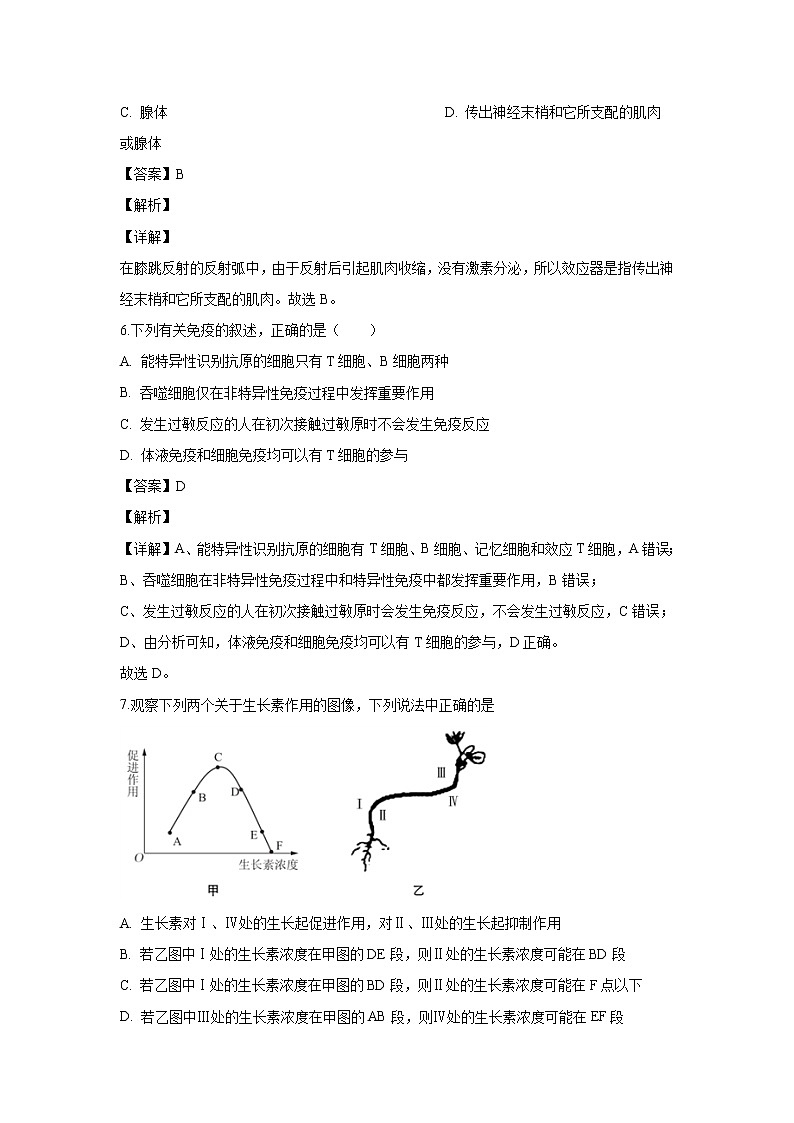 【生物】江苏省泰州市泰州中学2019-2020学年高二上学期期中考试试题（解析版）03