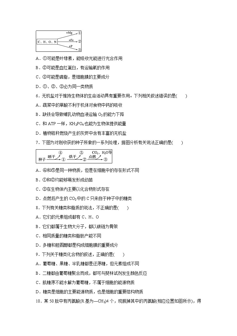 【生物】甘肃省武威第一中学2019-2020学年高二上学期期中考试试题02