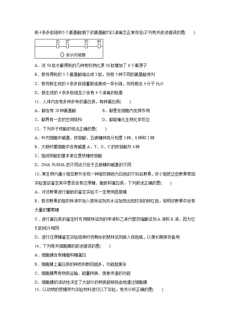 【生物】甘肃省武威第一中学2019-2020学年高二上学期期中考试试题03