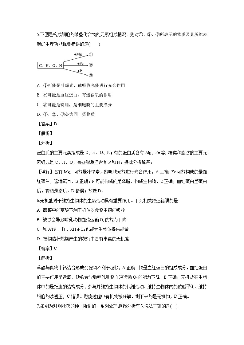 【生物】甘肃省武威市一中学2019-2020学年高二上学期期中考试试题（解析版） (1)03