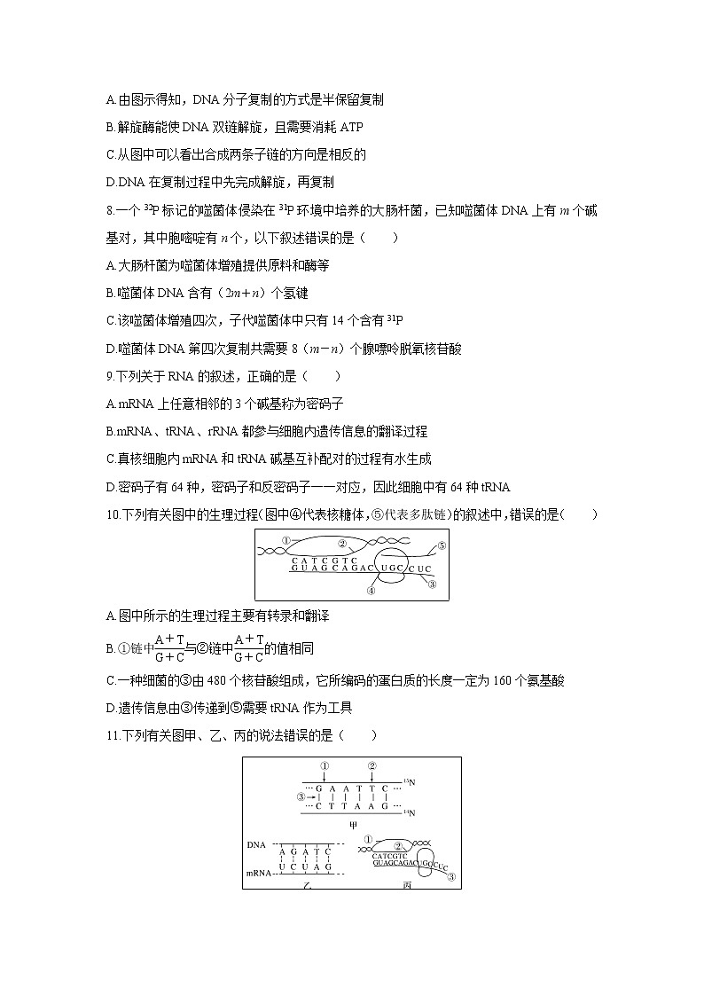 【生物】广东三校联考（广州二中、珠海一中、中山纪中）2019-2020学年高二11月期中联考试卷（解析版）03