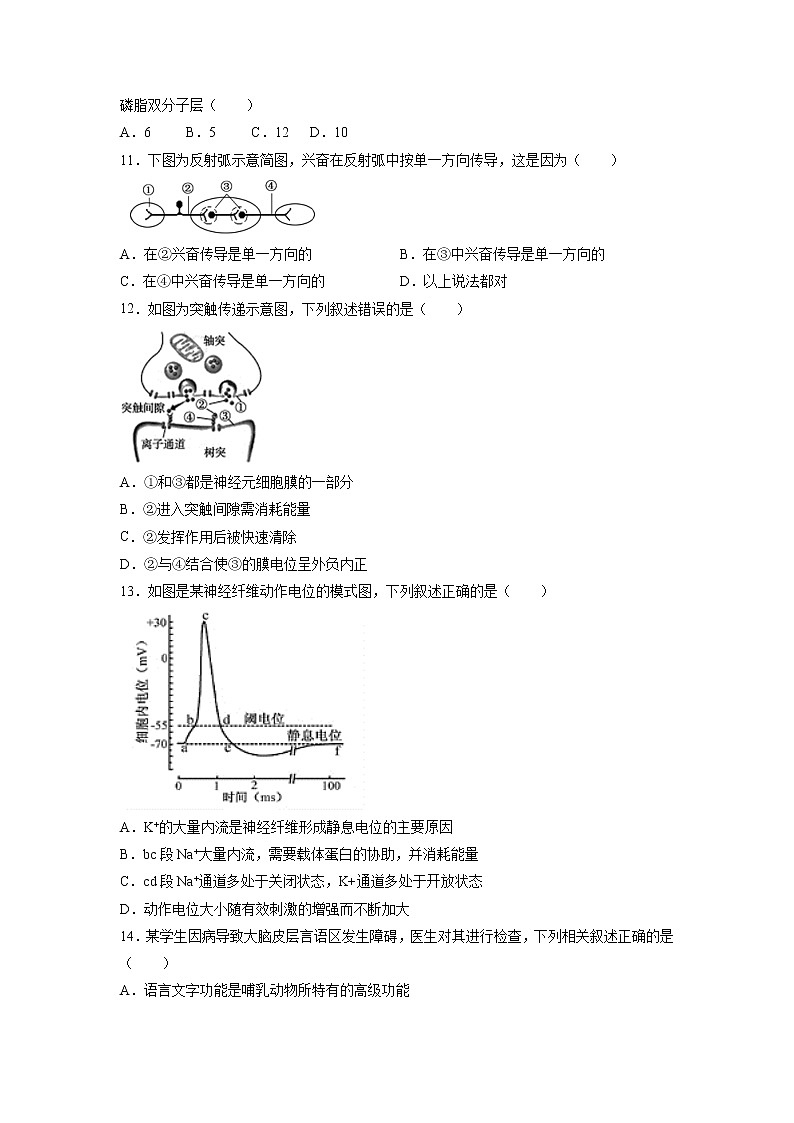 【生物】黑龙江省哈尔滨师范大学附属中学2019-2020学年高二上学期期中考试试题03