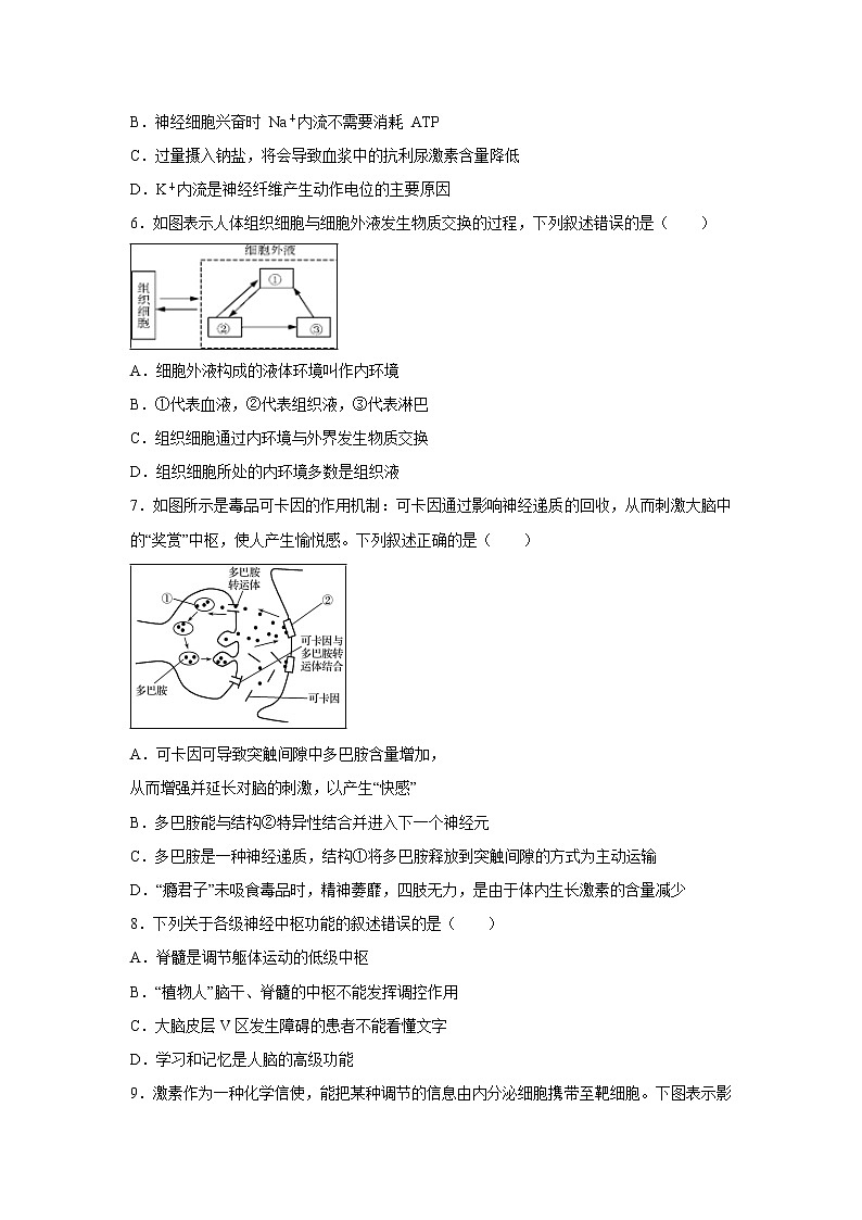 【生物】黑龙江省鸡西市第一中学2019-2020年高二上学期期中考试试题02