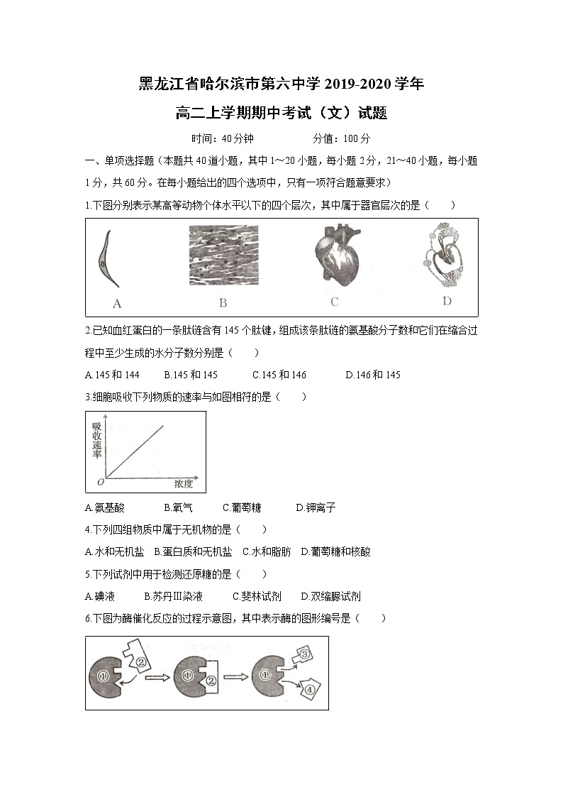 【生物】黑龙江省哈尔滨市第六中学2019-2020学年高二上学期期中考试（文）试题01
