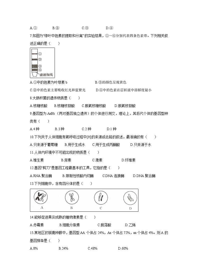 【生物】黑龙江省哈尔滨市第六中学2019-2020学年高二上学期期中考试（文）试题02