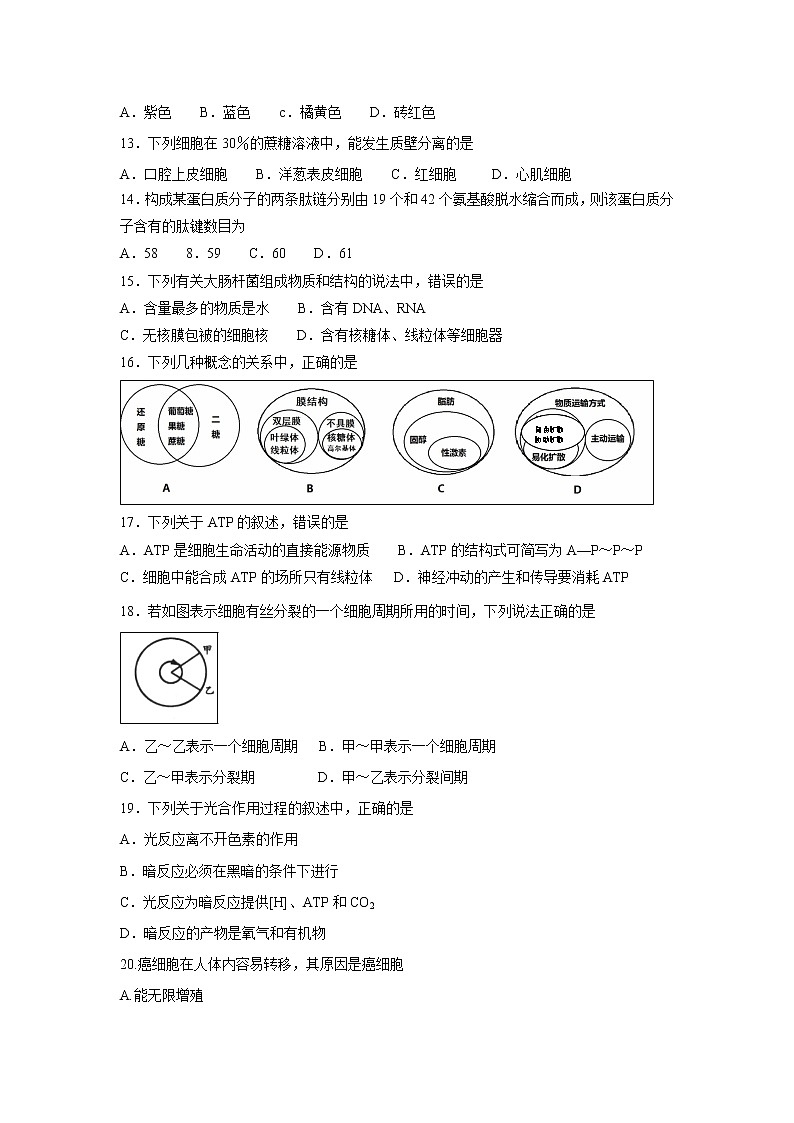 【生物】黑龙江省牡丹江市第三高级中学2019-2020学年高二上学期期中考试（文）试题02