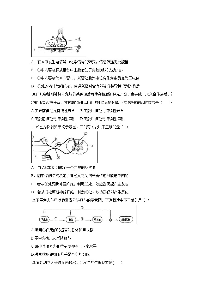 【生物】黑龙江省伊春市第二中学2019-2020学年高二上学期期中考试（理）试题03
