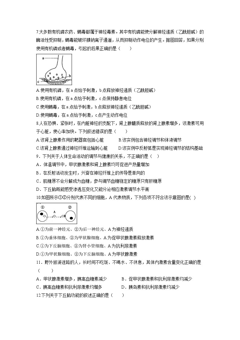【生物】湖北省钢城四中2019-2020学年高二上学期期中考试试卷02
