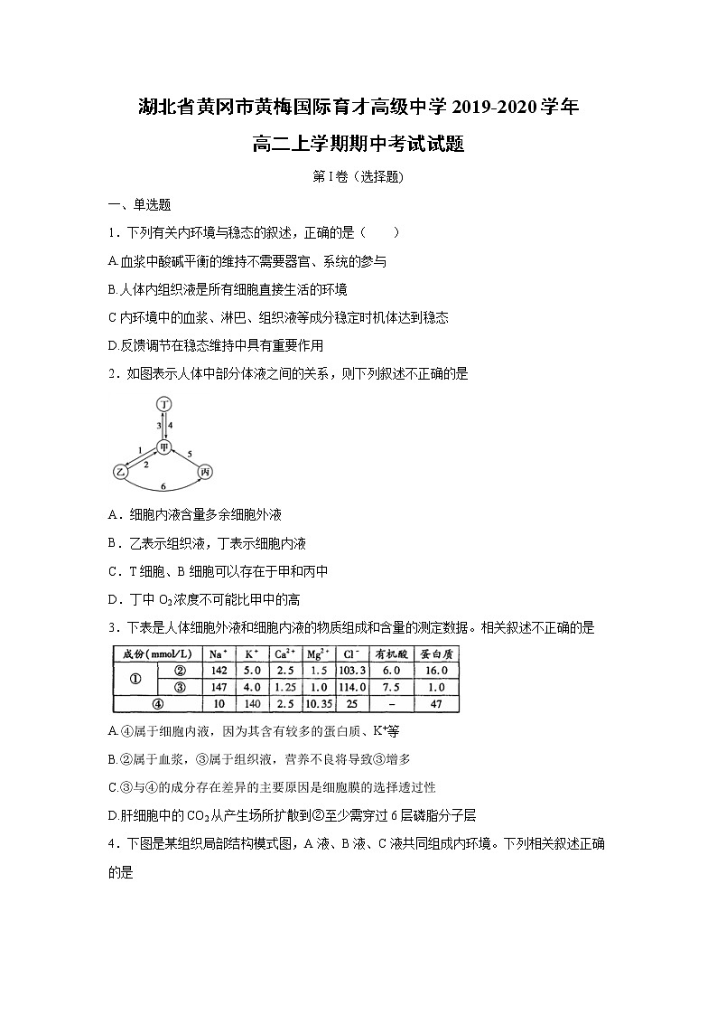【生物】湖北省黄冈市黄梅国际育才高级中学2019-2020学年高二上学期期中考试试题01