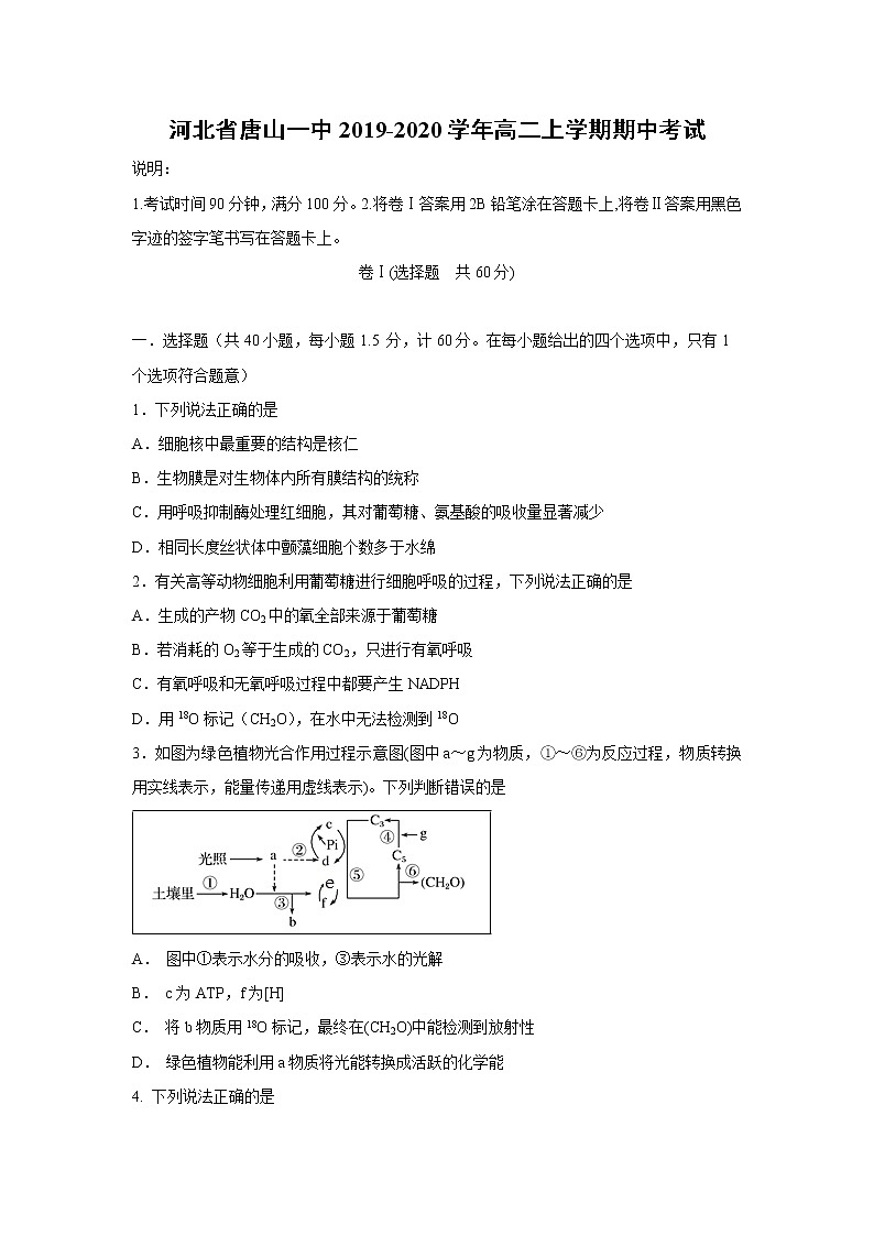 【生物】河北省唐山一中2019-2020学年高二上学期期中考试01