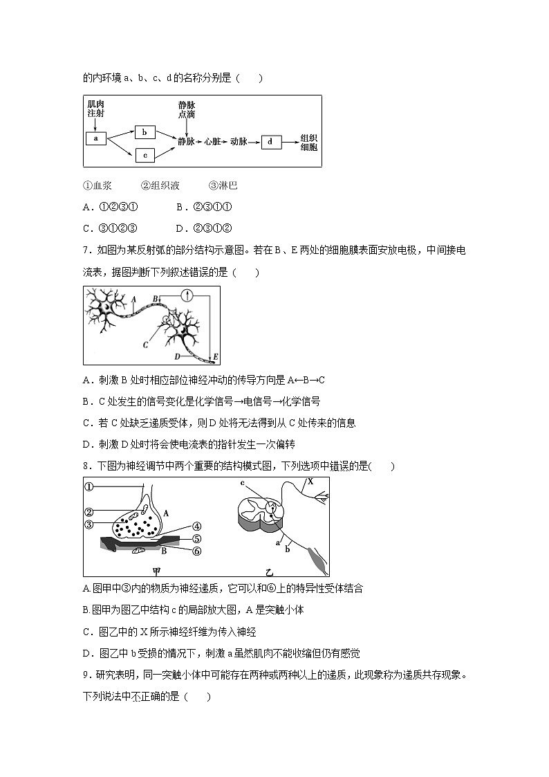 【生物】河南省周口中英文学校2019-2020学年高二上学期期中考试试题第2页