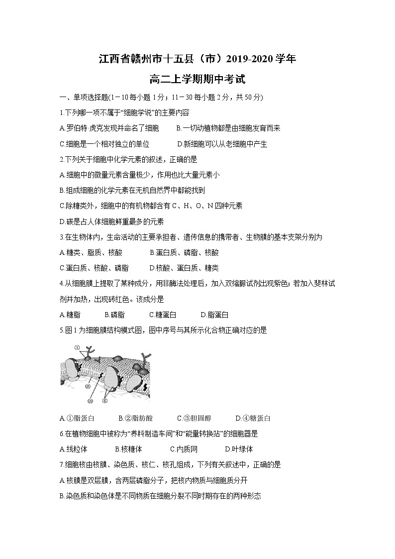 【生物】江西省赣州市十五县（市）2019-2020学年高二上学期期中考试第1页