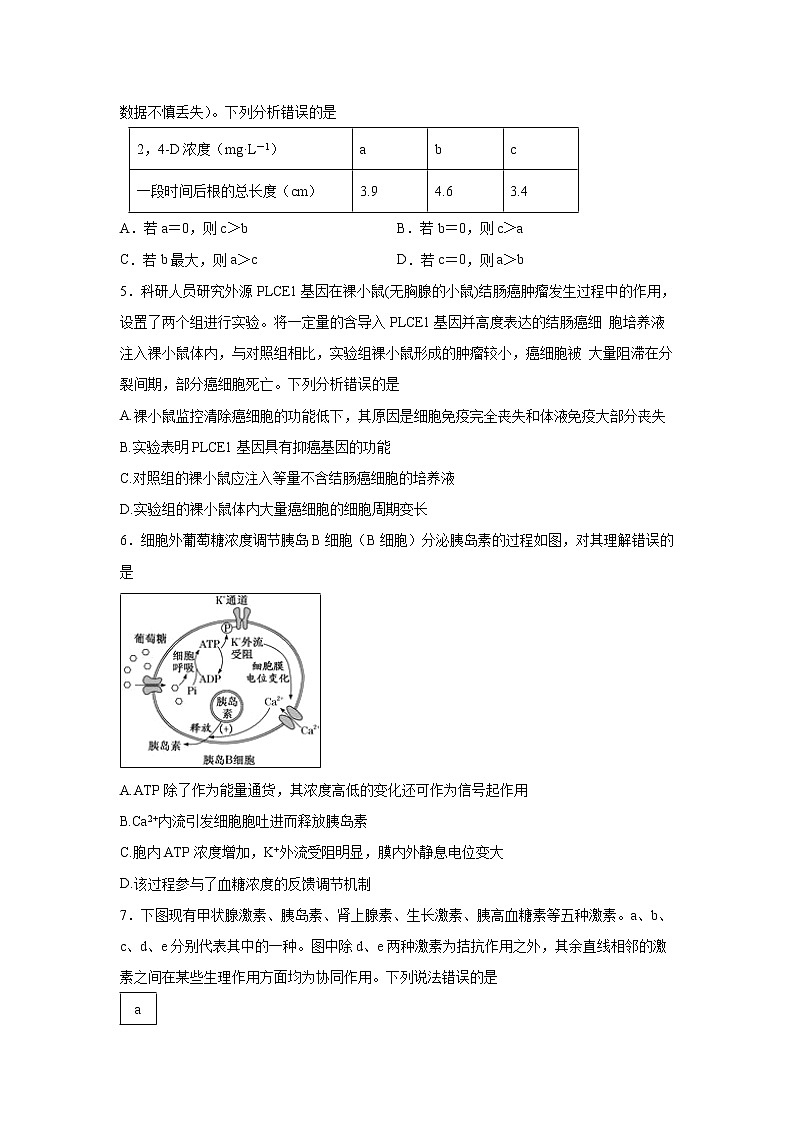 【生物】湖南省衡阳市第八中学2019-2020学年高二上学期期中考试02