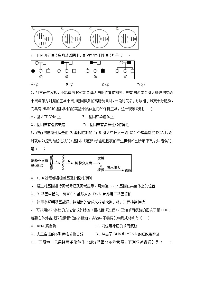 【生物】江西省南昌市安义中学2019-2020学年高二上学期期中考试试题02
