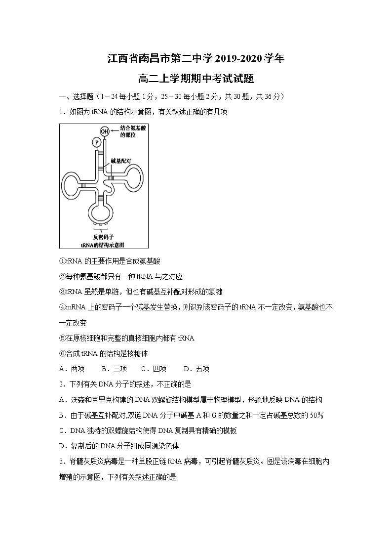 【生物】江西省南昌市第二中学2019-2020学年高二上学期期中考试试题01