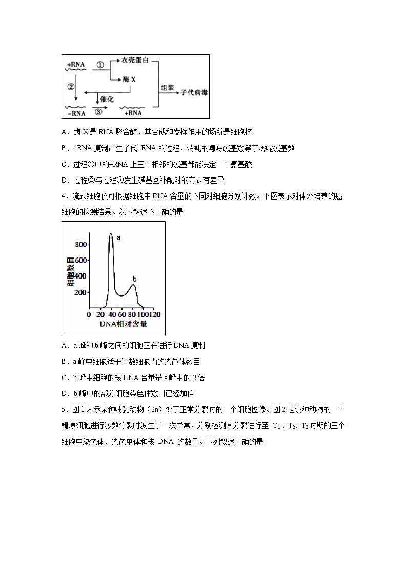 【生物】江西省南昌市第二中学2019-2020学年高二上学期期中考试试题02