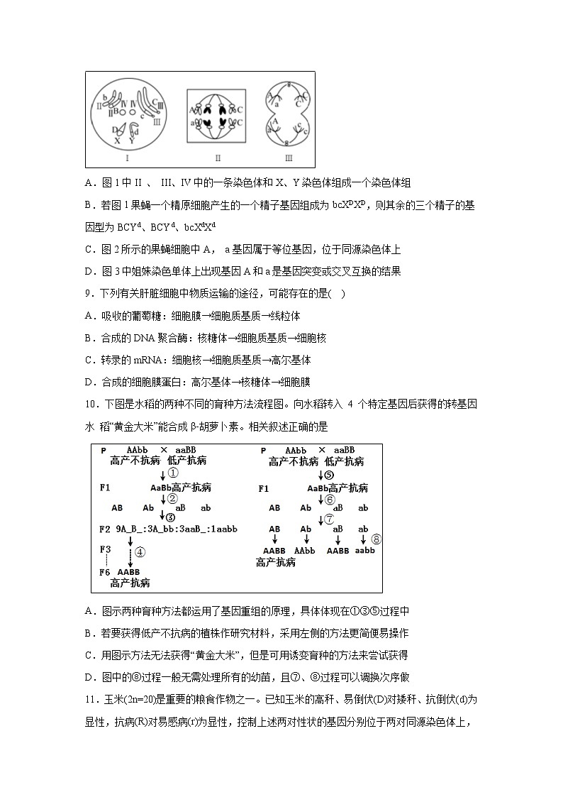 【生物】江西省万载中学2019-2020学年高二上学期期中考试试题（衔接班）03
