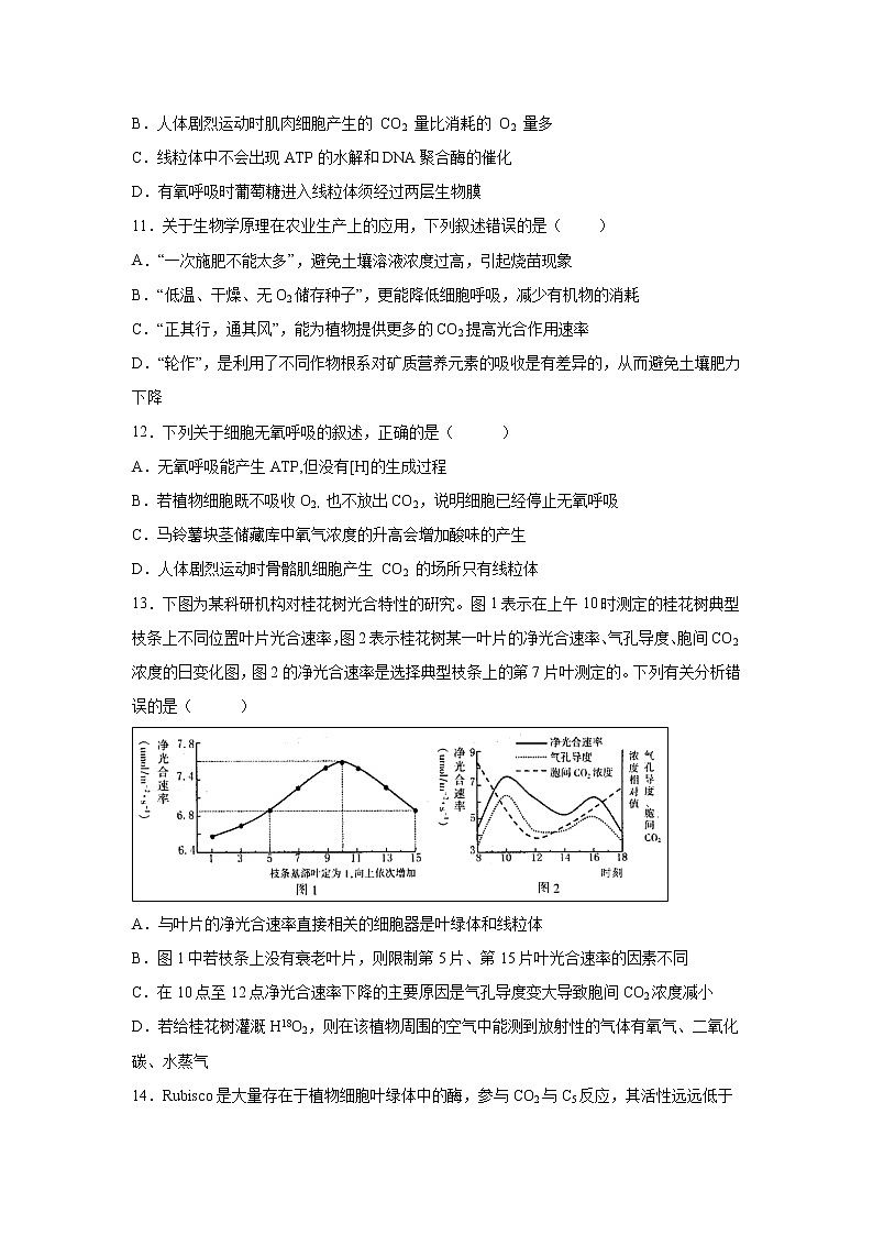 【生物】江西省上饶市“山江湖”协作体2019-2020学年高二上学期期中联考（统招班）试题03