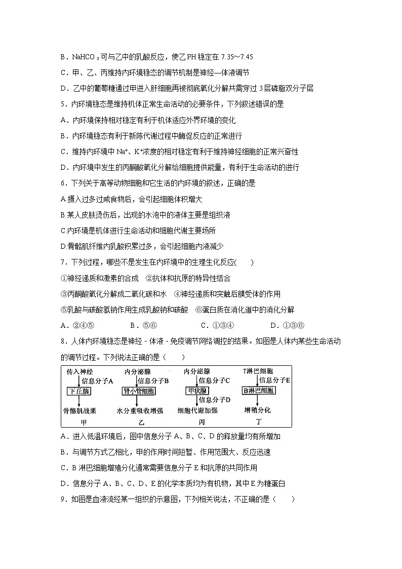 【生物】湖南省邵东县创新实验学校2019-2020学年高二上学期期中考试（理）试题02