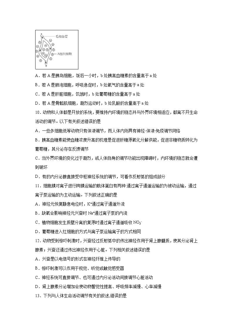 【生物】湖南省邵东县创新实验学校2019-2020学年高二上学期期中考试（理）试题03