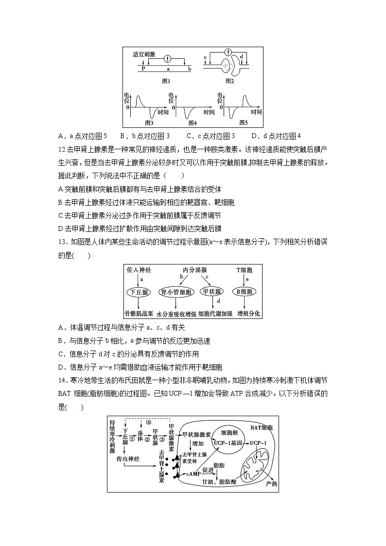 【生物】湖南省岳阳县第一中学2019-2020学年高二上学期期中考试试题03