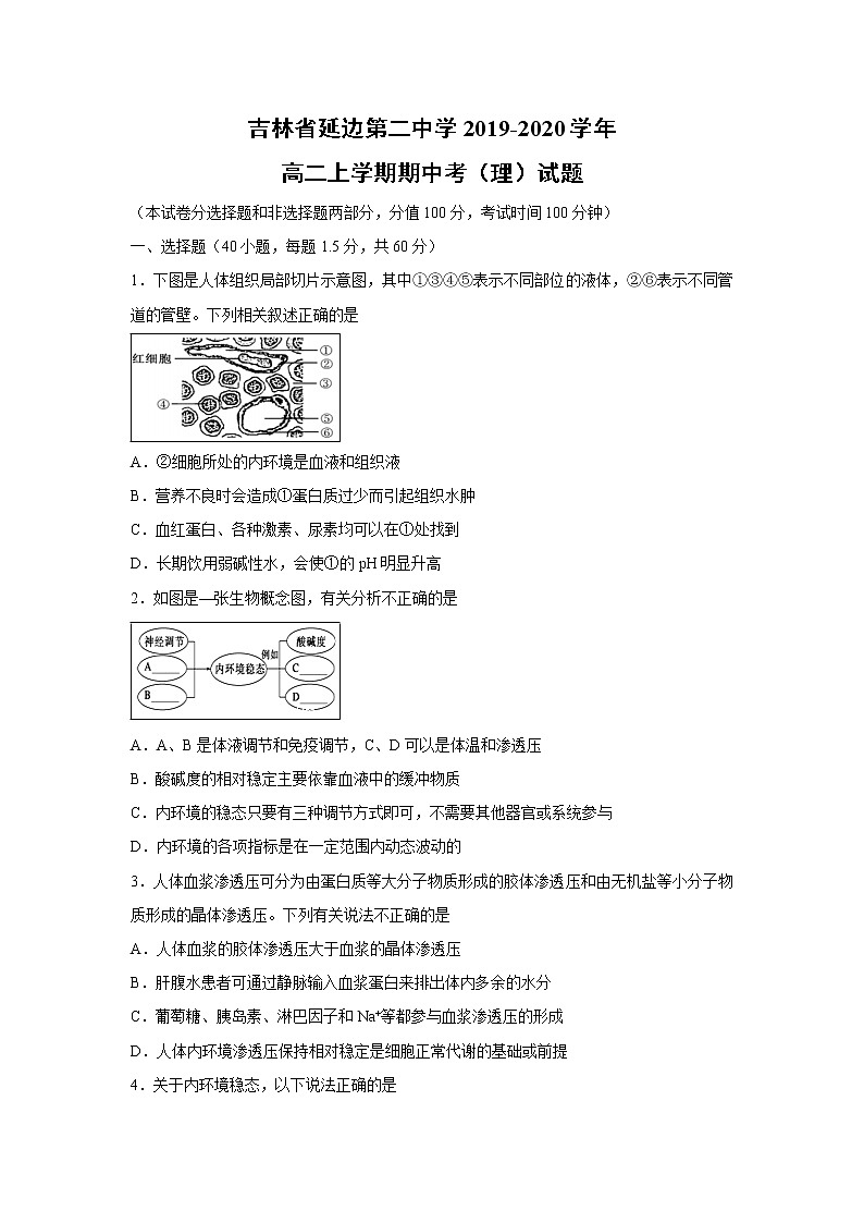 【生物】吉林省延边第二中学2019-2020学年高二上学期期中考（理）试题01