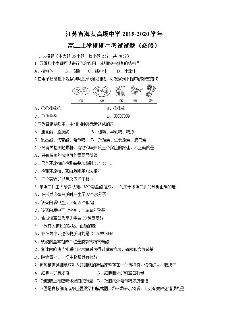 【生物】江苏省海安高级中学2019-2020学年高二上学期期中考试试题（必修）01