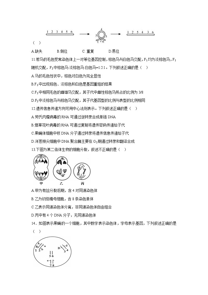 【生物】山东省菏泽一中南京路校区2019-2020学年高二下学期7月月考试题第3页