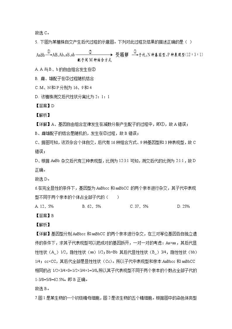 【生物】山东省菏泽市一中南京路校区2019-2020学年高二下学期7月月考试题（解析版）第3页
