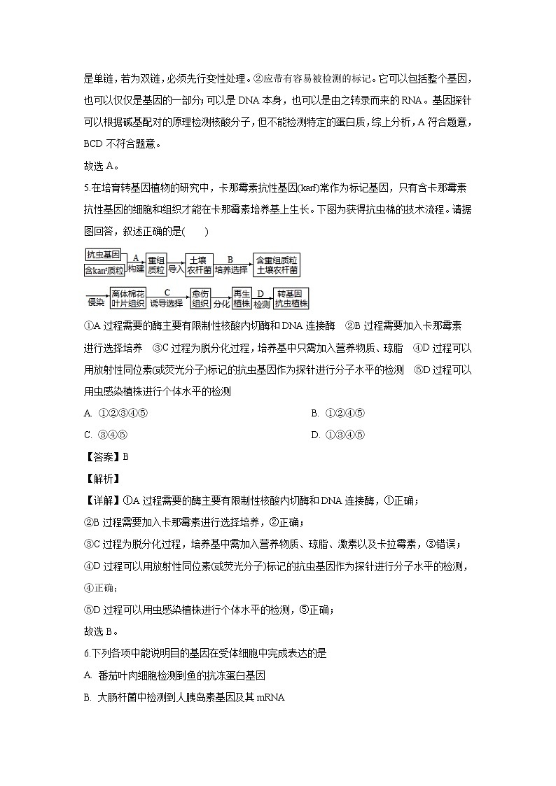 【生物】山东省滕州市一中2019-2020学年高二下学期第二次月考试题（解析版）03