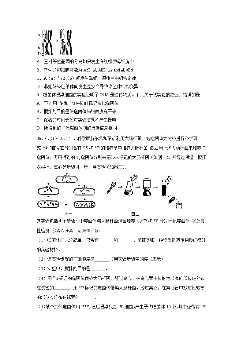 【生物】四川省仁寿第二中学2019-2020学年高二7月月考理综-试卷第2页