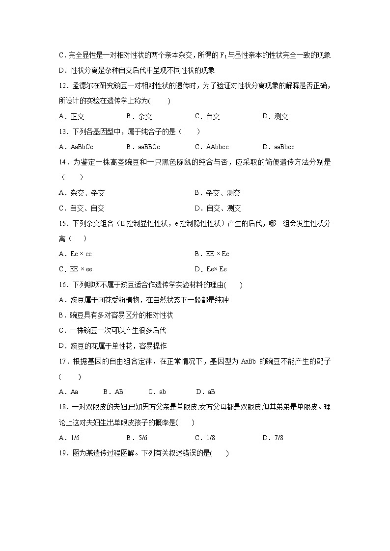 【生物】甘肃省会宁县第一中学2019-2020学年高二上学期期中考试（文）试题第2页