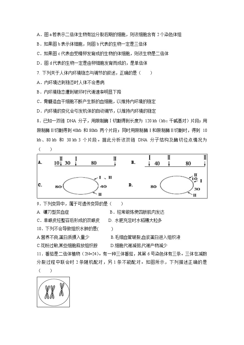 【生物】福建省漳州市第八中学2019-2020学年高二上学期期中考试第2页