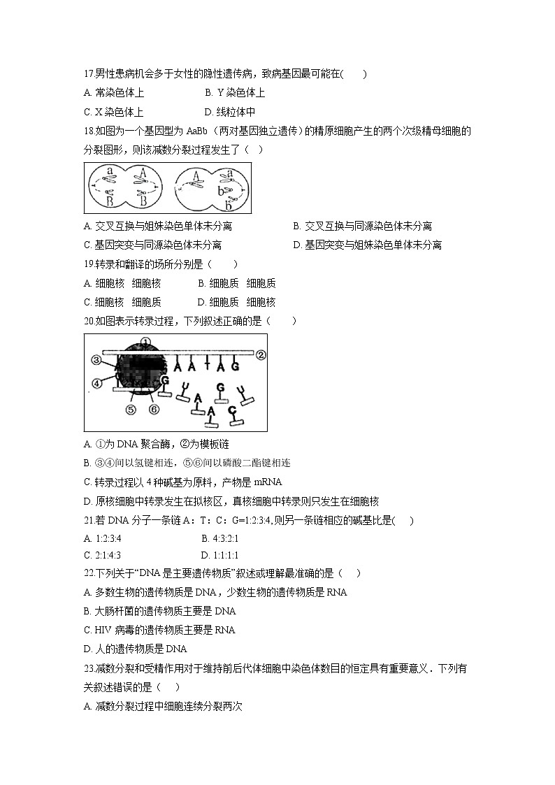 【生物】甘肃省定西市岷县第二中学2019-2020学年高二上学期期中考试试卷03