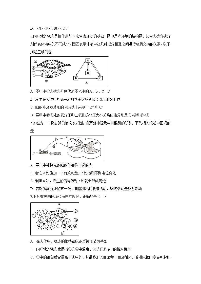 【生物】安徽省滁州市定远县育才学校2019-2020学年高二（实验班）上学期期中考试试题02
