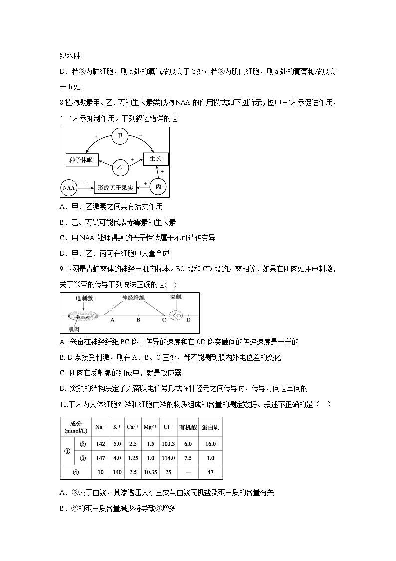 【生物】安徽省滁州市定远县育才学校2019-2020学年高二（实验班）上学期期中考试试题03